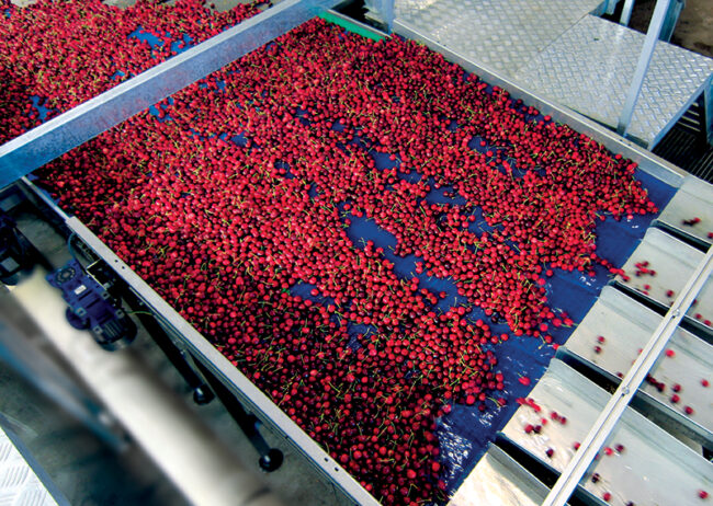 03_cherry_vision_3.0.unitec