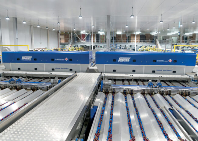 04_cherry_vision_3.0.unitec