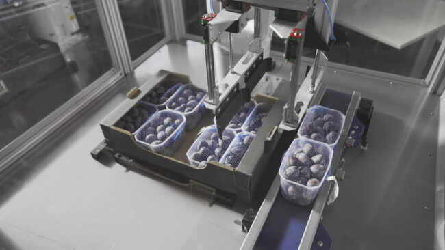 UNI-Robotics-Punnet-Pack-05-scaled